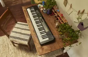 61 Keys Casiotone Key Lighting Keyboards LK-S250