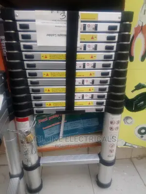 Telescopic Ladder