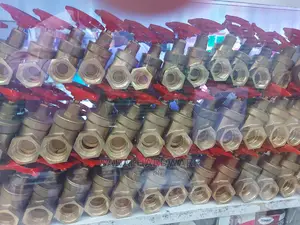 All Sizes Peglar Gate Valves