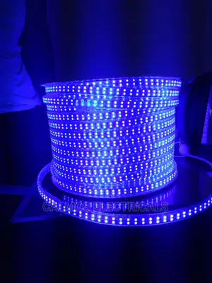 Led Snake Lights