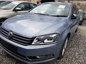 Volkswagen Passat 2014 Blue