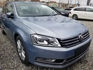 Volkswagen Passat 2014 Blue