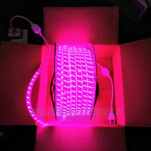 Snake Light /Rope Light