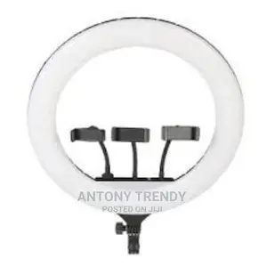 RL18 LED Ring Light With Phone Holder and 1.8M Tripod St