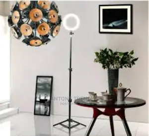 10 Inch LED Ring Light With Tripod Stand for Live Streaming