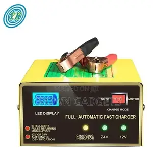 Quick Boost Electric Car 200ah Dc 12v/24 10A Battery Charger