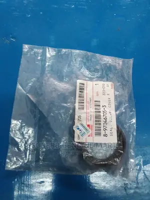 Rear Tail Housing Seal