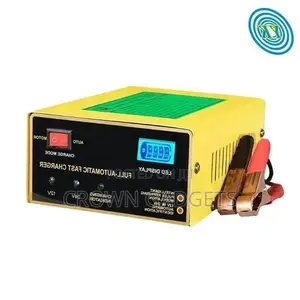 Smart Electric Car 200ah Dc 12v/24 10A Battery Charger