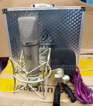 B2 Studio Condenser Microphone