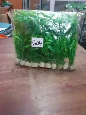 Aquarium Plants