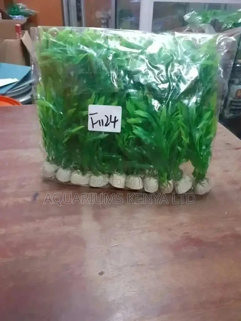 Aquarium Plants