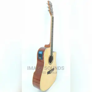 Semi-Acoustic Guitar