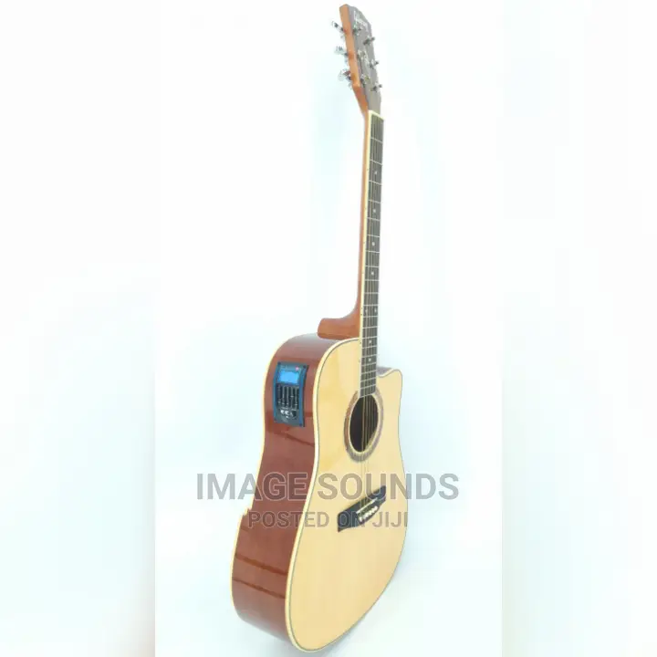 Semi-Acoustic Guitar
