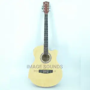 Semi-Acoustic Guitar