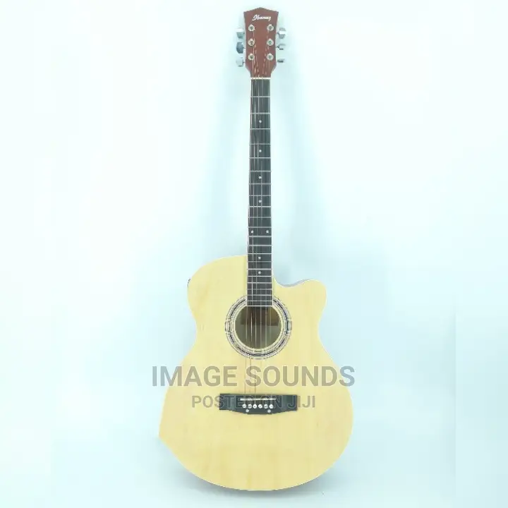 Semi-Acoustic Guitar