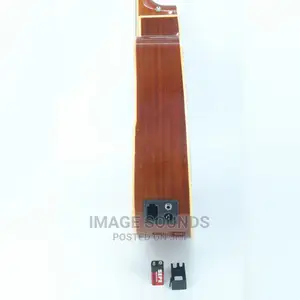 Semi-Acoustic Guitar