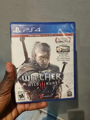The Witcher Wild Hunt
