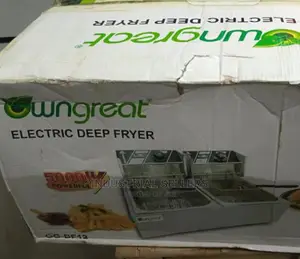 Deep Fryer Electric