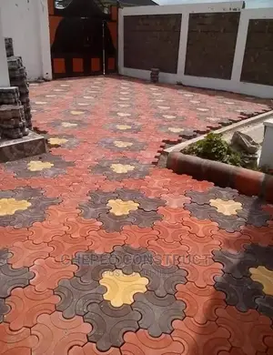 Pavers/ Cabro for Driveway or General Compound