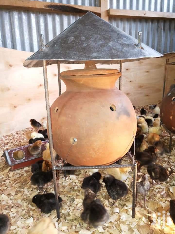 Brooder Warmers- Jiko