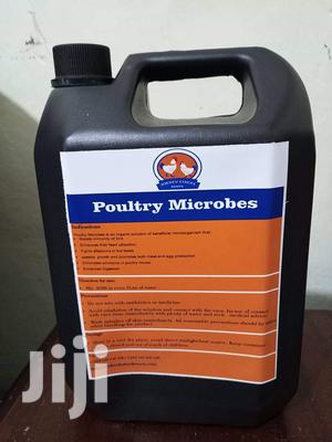 Poultry Microbes
