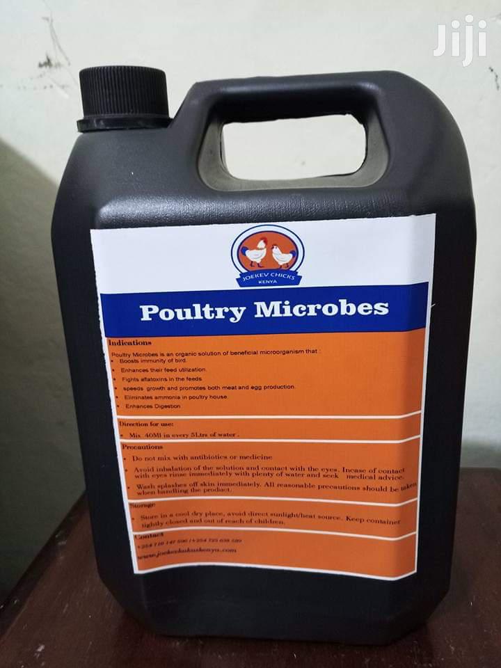 Poultry Microbes