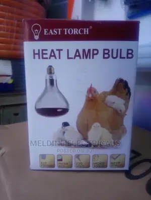 Infrared Bulb/Chicken Bulb