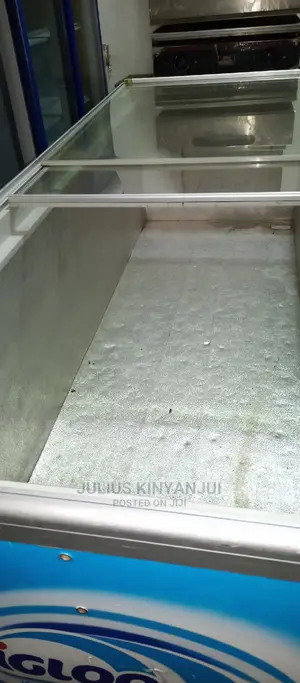 900L Deep Freezer