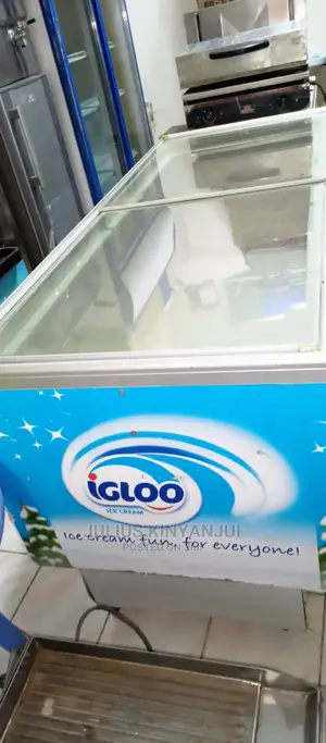 900L Deep Freezer