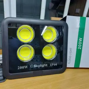 200w Security Flood Light