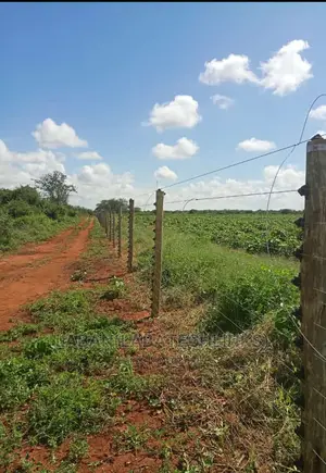 Electric Fence and Razor Services
