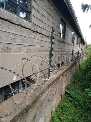 Electric Fence Plus Razor Wire