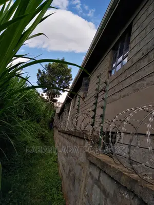 Electric Fence Plus Razor Wire Works