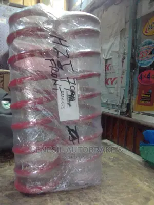 HZJ79 Coil Spring