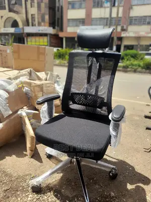 Orthopedic Office Chair