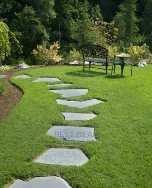 Turf Synthetic Grass