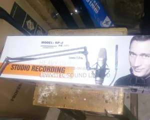 Studio Recording Microphone Stand.