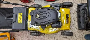 Wasp Gasoline Lawn Mower 4.5horsepower