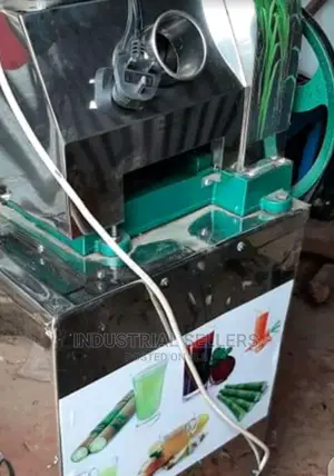 Heavy-Duty Sugarcane Juicer
