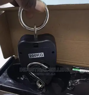 Affordable 200kgs Crane Scale
