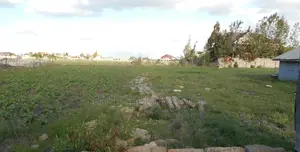 1/4 Acre Plots for Sale in Katani