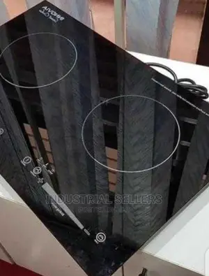 Best Double Induction Cooker