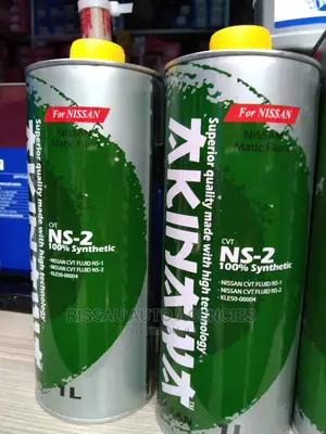 Nissan Ns2 1litres Akinawa Made in Japan