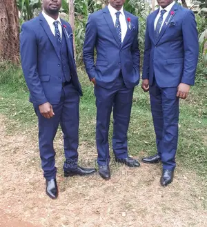 Men Navy Blue 2 Piece Suit