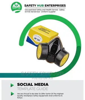NP 306 Chemical Respirators