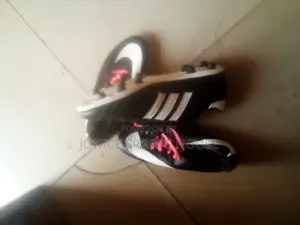 Original Sports Shoes