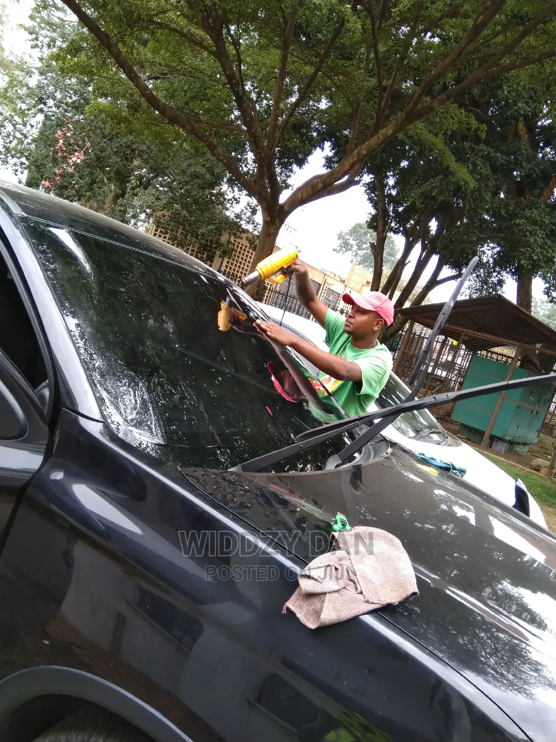 Windscreen Tint
