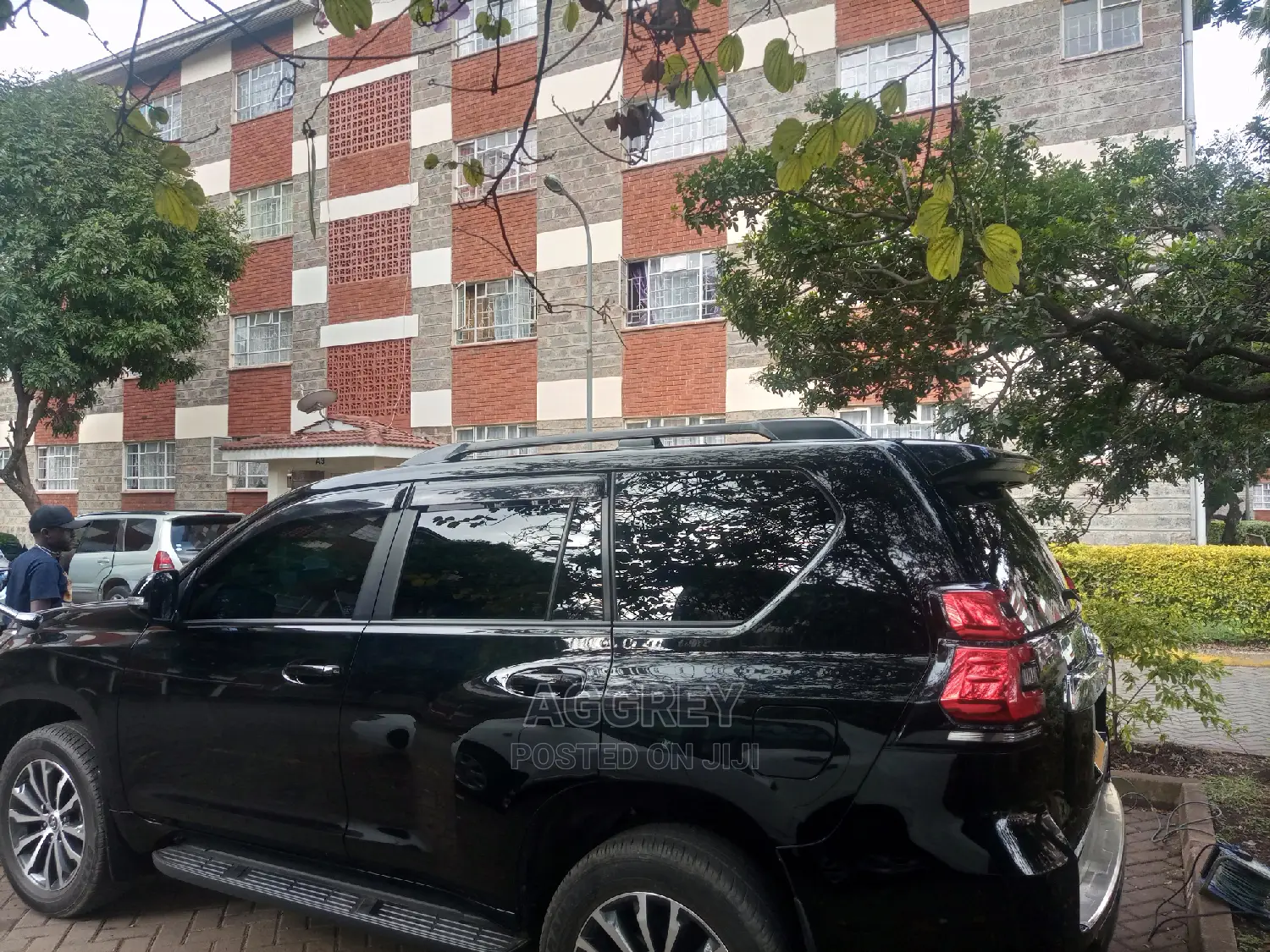 Classic Tint Solutions