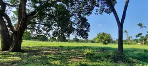 12 Months Instalment,50/100 Plots on Sale at Animo Mtwapa