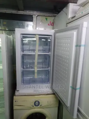 Upright Freezer